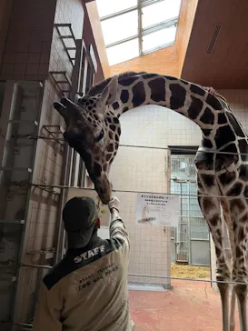 天王寺動物園に投稿された画像（2021/11/23）