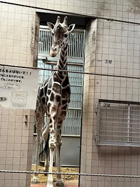 天王寺動物園に投稿された画像（2021/11/23）