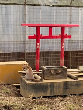 東武動物公園に投稿された画像（2021/11/23）