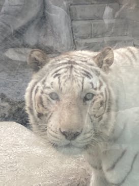 東武動物公園に投稿された画像（2021/11/23）