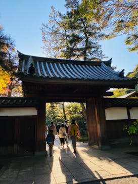 三溪園に投稿された画像（2021/11/23）