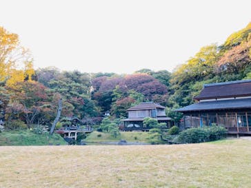 三溪園に投稿された画像（2021/11/23）