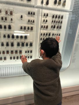 国立科学博物館に投稿された画像（2021/11/23）