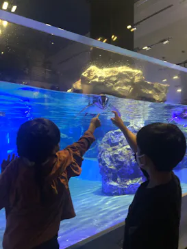 すみだ水族館に投稿された画像（2021/11/23）