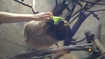 神戸どうぶつ王国に投稿された画像（2021/11/23）