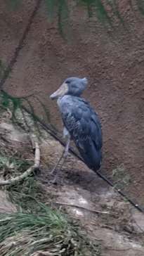 神戸どうぶつ王国に投稿された画像（2021/11/23）