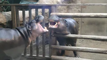 神戸どうぶつ王国に投稿された画像（2021/11/23）