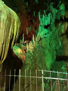 あぶくま洞に投稿された画像（2021/11/23）