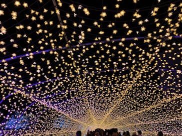 東京メガイルミに投稿された画像（2021/11/23）