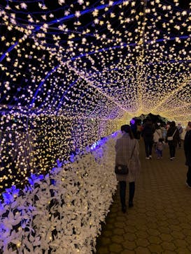 東京メガイルミに投稿された画像（2021/11/23）