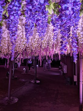 東京メガイルミに投稿された画像（2021/11/23）