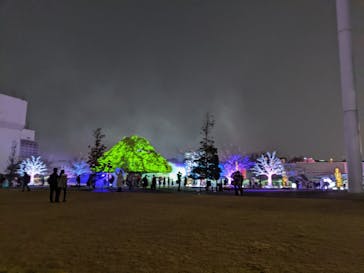 東京メガイルミに投稿された画像（2021/11/23）