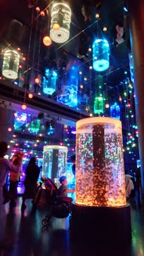 マクセル アクアパーク品川に投稿された画像（2021/11/23）