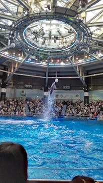 マクセル アクアパーク品川に投稿された画像（2021/11/23）