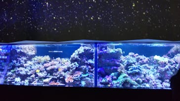 マクセル アクアパーク品川に投稿された画像（2021/11/23）