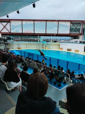 伊豆・三津シーパラダイスに投稿された画像（2021/11/23）