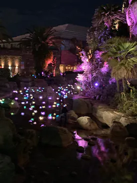 ひらかたパークに投稿された画像（2021/11/23）