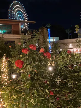 ひらかたパークに投稿された画像（2021/11/23）