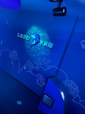 しながわ水族館に投稿された画像（2021/11/23）