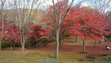 よこはま動物園ズーラシアに投稿された画像（2021/11/23）