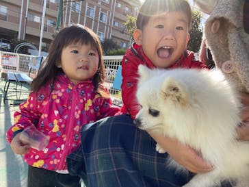 IPCわんわん動物園に投稿された画像（2021/11/23）