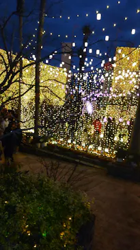 ひらかたパークに投稿された画像（2021/11/23）