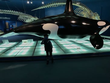 名古屋港水族館に投稿された画像（2021/11/23）