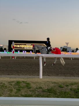 東京メガイルミに投稿された画像（2021/11/23）