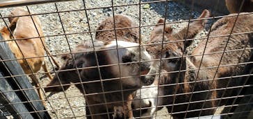 那須サファリパークに投稿された画像（2021/11/23）