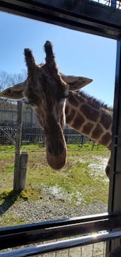 那須サファリパークに投稿された画像（2021/11/23）