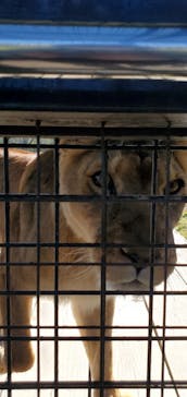 那須サファリパークに投稿された画像（2021/11/23）