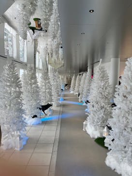 梅田スカイビル・空中庭園展望台に投稿された画像（2021/11/23）