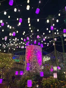 ひらかたパークに投稿された画像（2021/11/23）