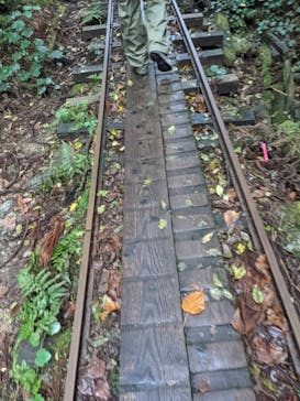 屋久島ガイド21EC-Kに投稿された画像（2021/11/23）