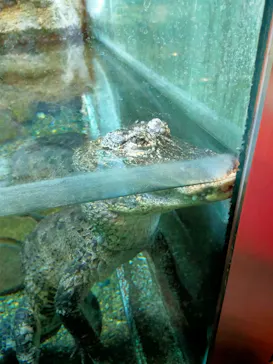 天王寺動物園に投稿された画像（2021/11/23）