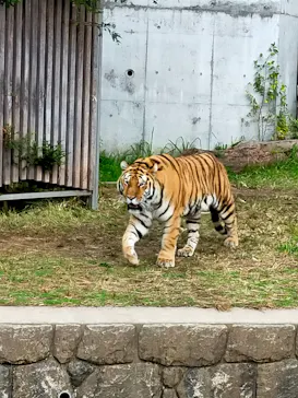 天王寺動物園に投稿された画像（2021/11/23）