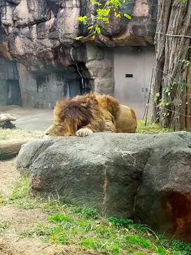 天王寺動物園に投稿された画像（2021/11/23）