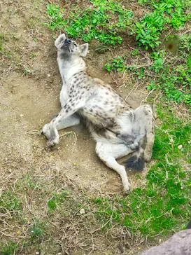 天王寺動物園に投稿された画像（2021/11/23）