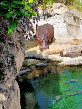 天王寺動物園に投稿された画像（2021/11/23）