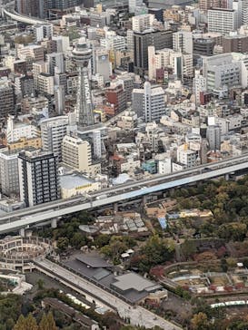 ハルカス300(展望台)に投稿された画像（2021/11/23）