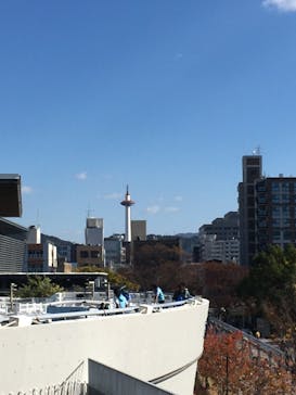 京都水族館に投稿された画像（2021/11/23）