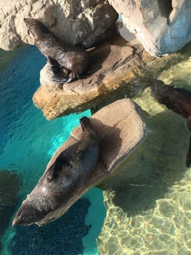京都水族館に投稿された画像（2021/11/23）