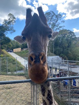 しろとり動物園に投稿された画像（2021/11/23）