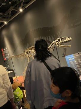 ティラノサウルス展 ～Ｔ. rex 驚異の肉食恐竜～（名古屋市科学館）に投稿された画像（2021/11/23）