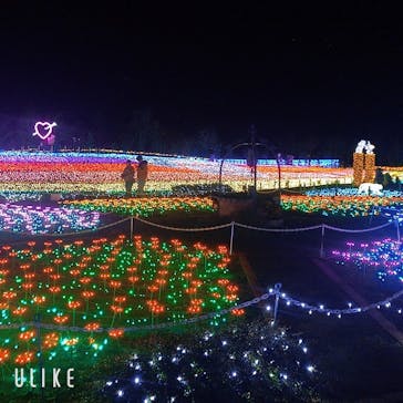 東武動物公園に投稿された画像（2021/11/23）