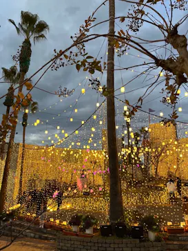 ひらかたパークに投稿された画像（2021/11/23）