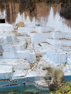 天王寺動物園に投稿された画像（2021/11/23）