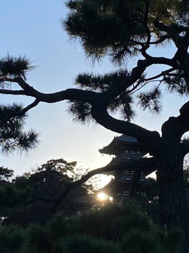 三溪園に投稿された画像（2021/11/23）