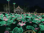 美らヤシパークオキナワ・東南植物楽園に投稿された画像（2021/11/23）