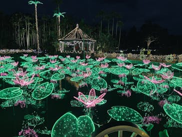 美らヤシパークオキナワ・東南植物楽園に投稿された画像（2021/11/23）